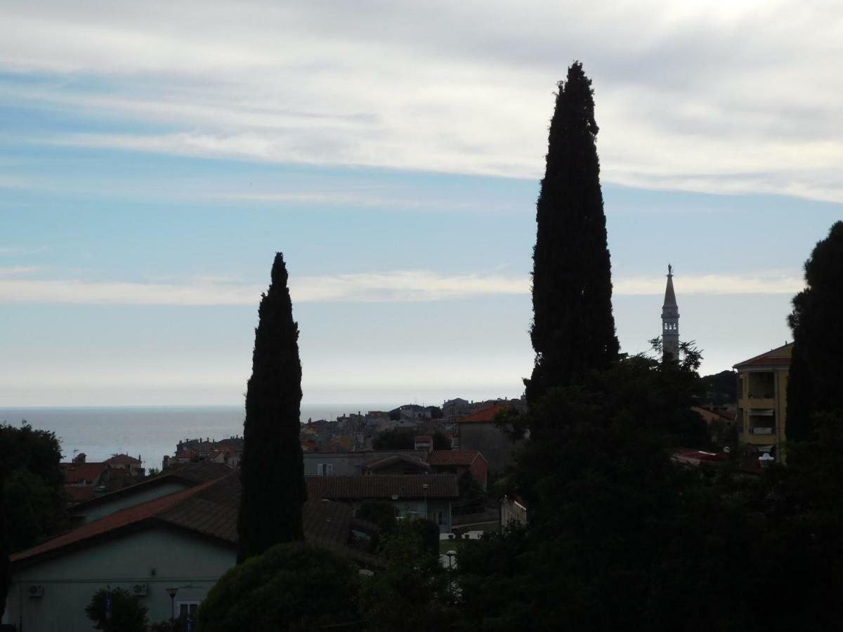 Rovinj'S Flowers Apartments エクステリア 写真